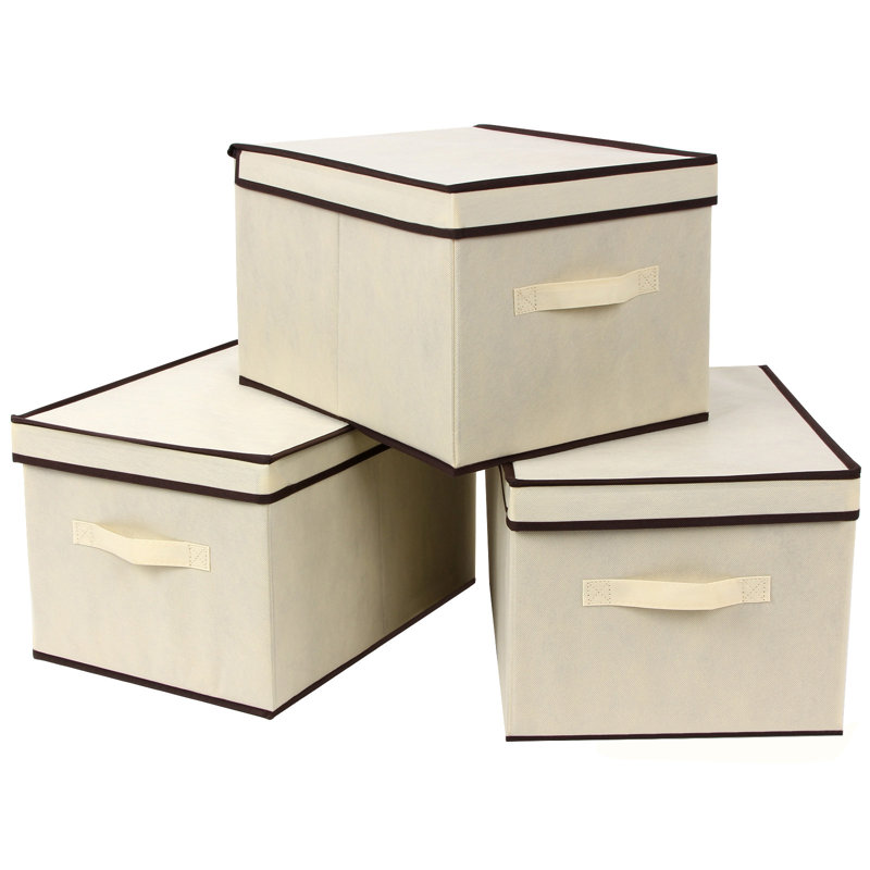Rebrilliant Large Foldable Storage with Lid Box & Reviews Wayfair